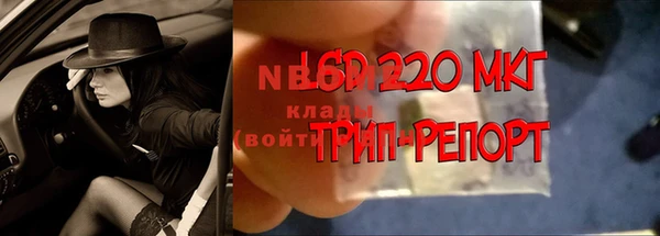 сатива Алзамай